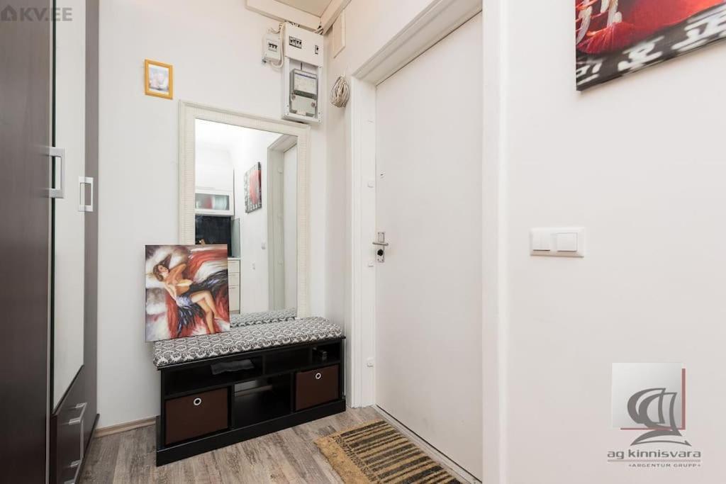 Cozy 1-bdroom In The Centre, Free Parking Tallinn